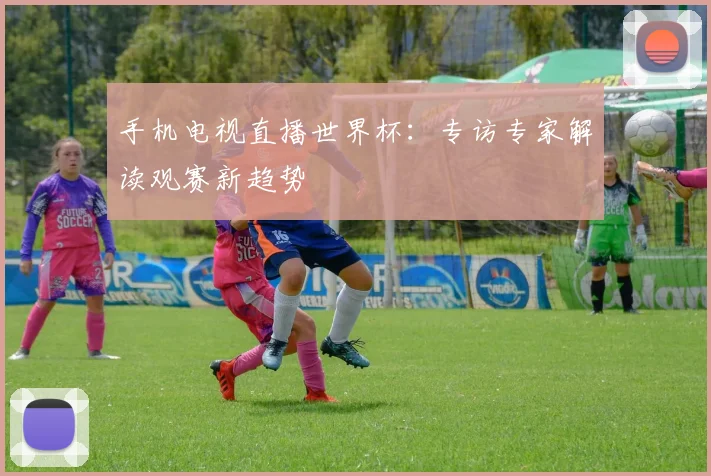 手机电视直播世界杯：专访专家解读观赛新趋势