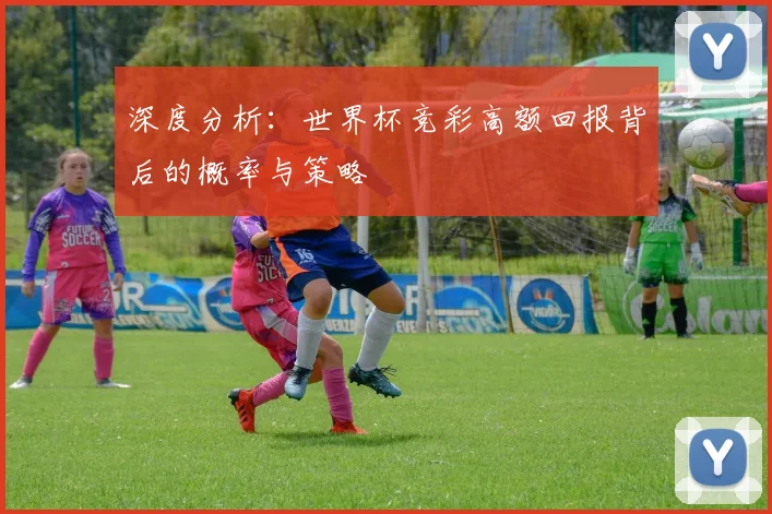 深度分析：世界杯竞彩高额回报背后的概率与策略